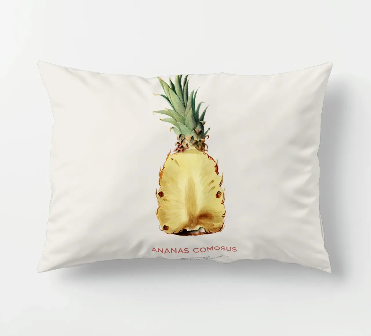 Ananas o Ananas comosus cuscino da Vintagrafica