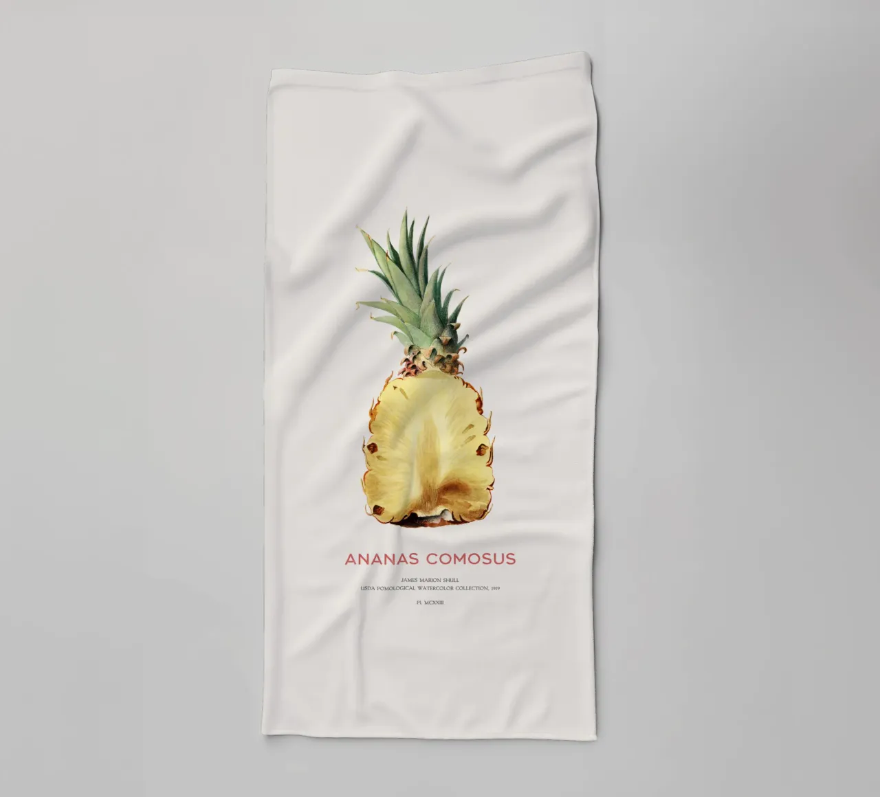 Ananas oder Ananas comosus Handtuch von Vintagrafica