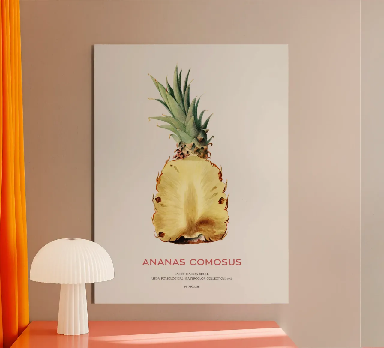 Ananas o Ananas comosus alluminio dibond da Vintagrafica