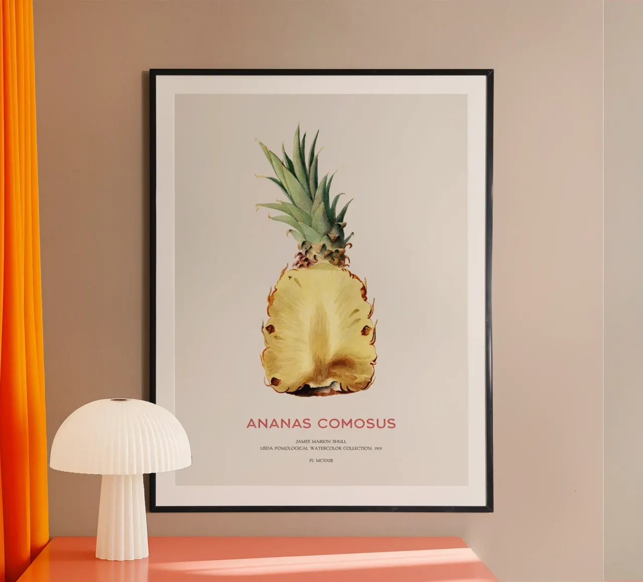 Ananas oder Ananas comosus Hahnemühle von Vintagrafica