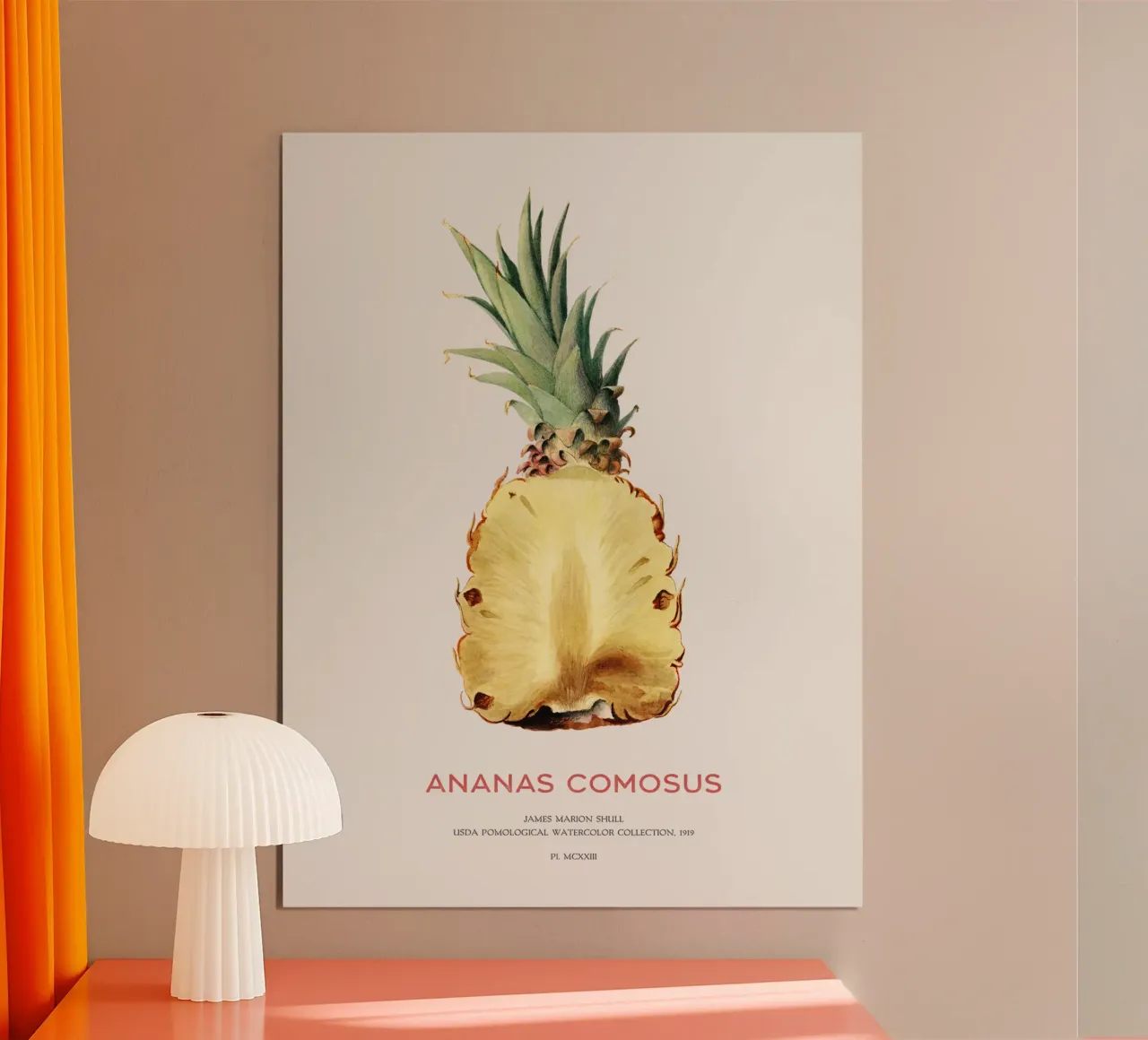Ananas oder Ananas comosus Hahnemühle von Vintagrafica