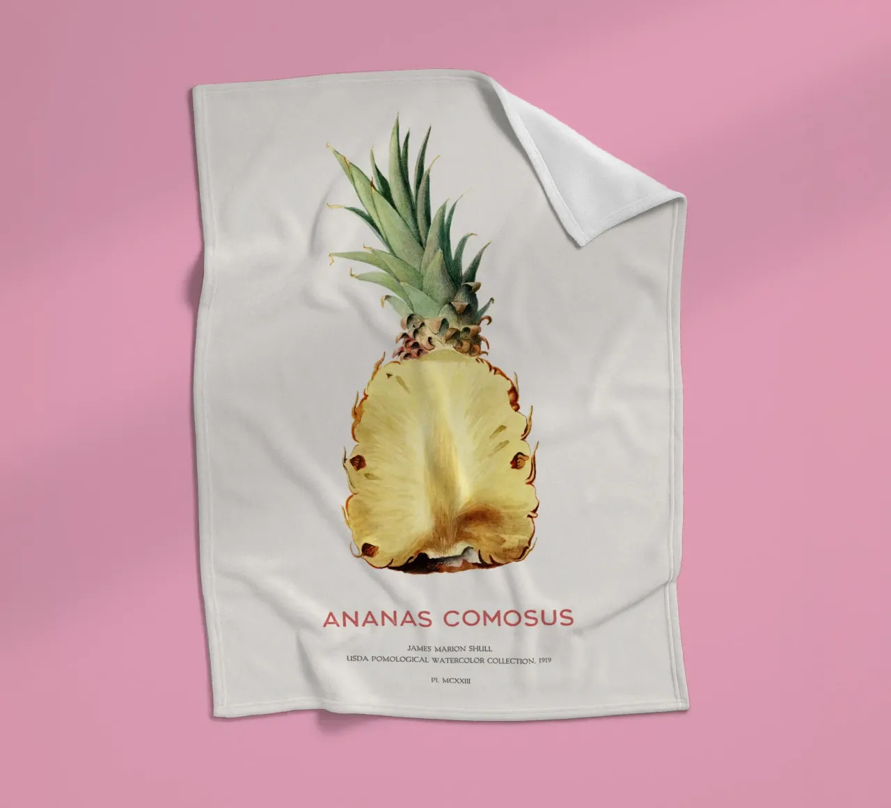 Ananas o Ananas comosus coperta in pile da Vintagrafica