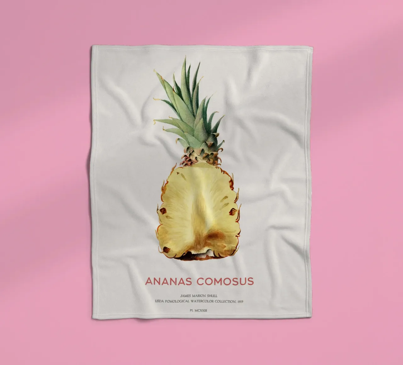 Ananas o Ananas comosus coperta in pile da Vintagrafica