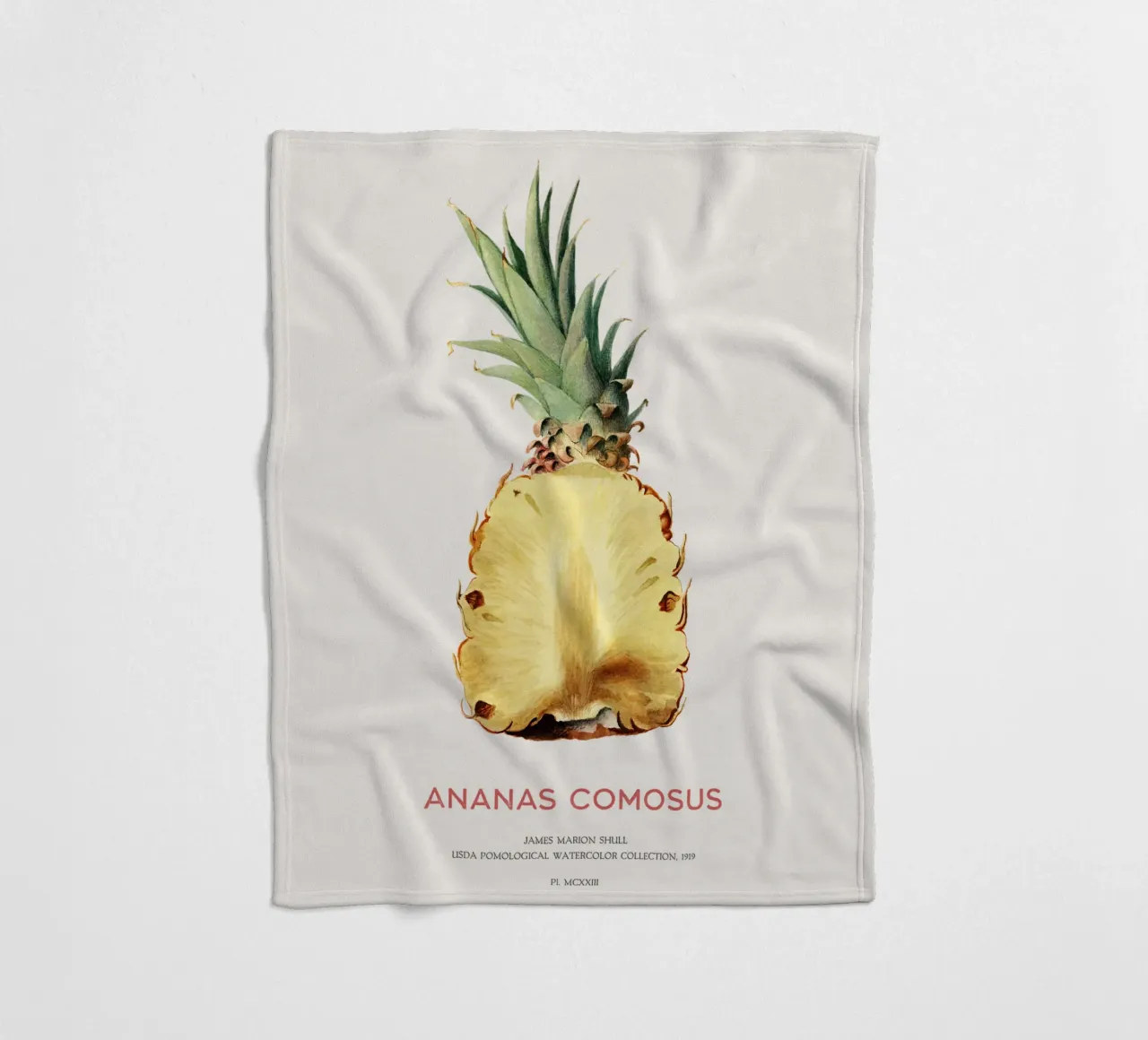 Ananas o Ananas comosus coperta in pile da Vintagrafica