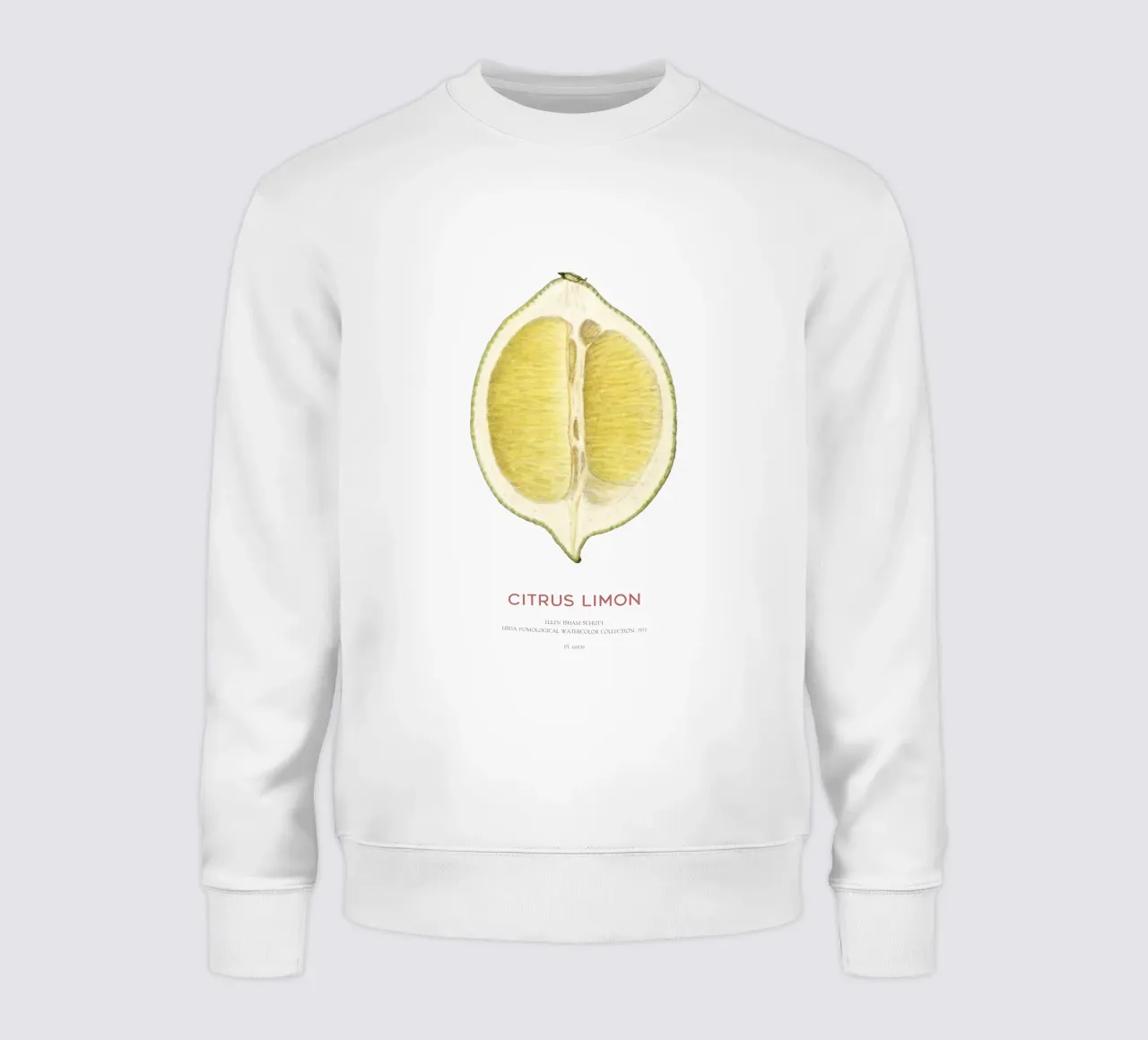 Zitrone oder Citrus limon Sweatshirt von Vintagrafica