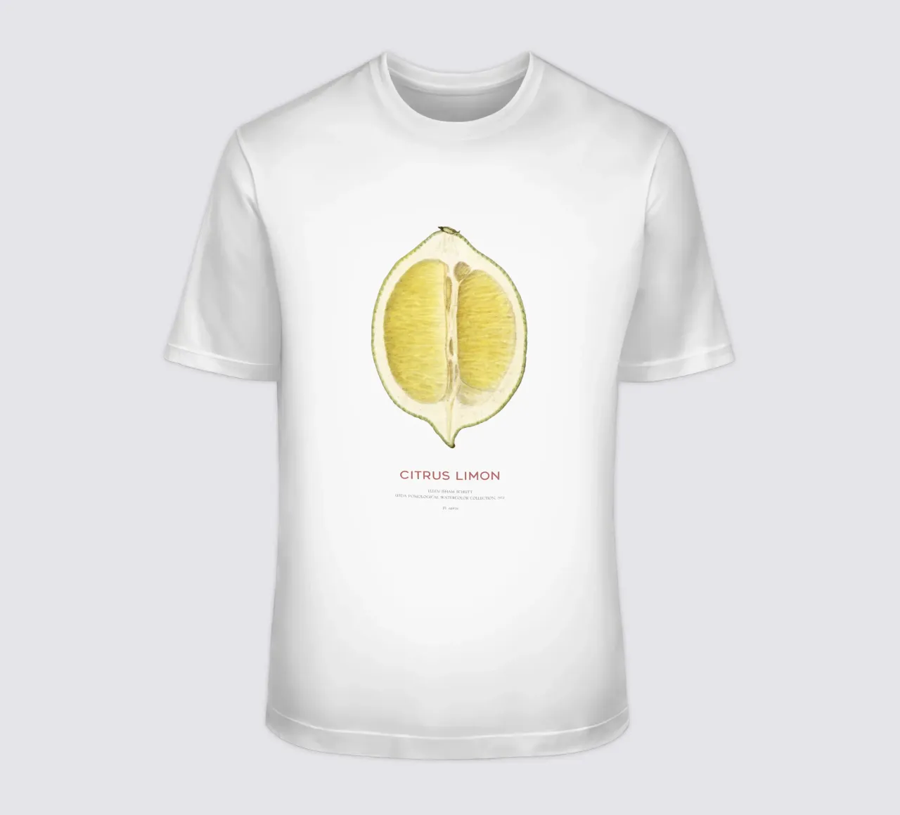 Zitrone oder Citrus limon T-Shirt von Vintagrafica