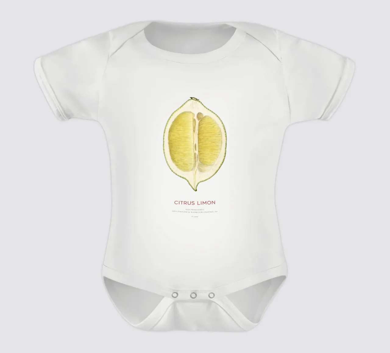 Zitrone oder Citrus limon Kurzarm Babybody von Vintagrafica