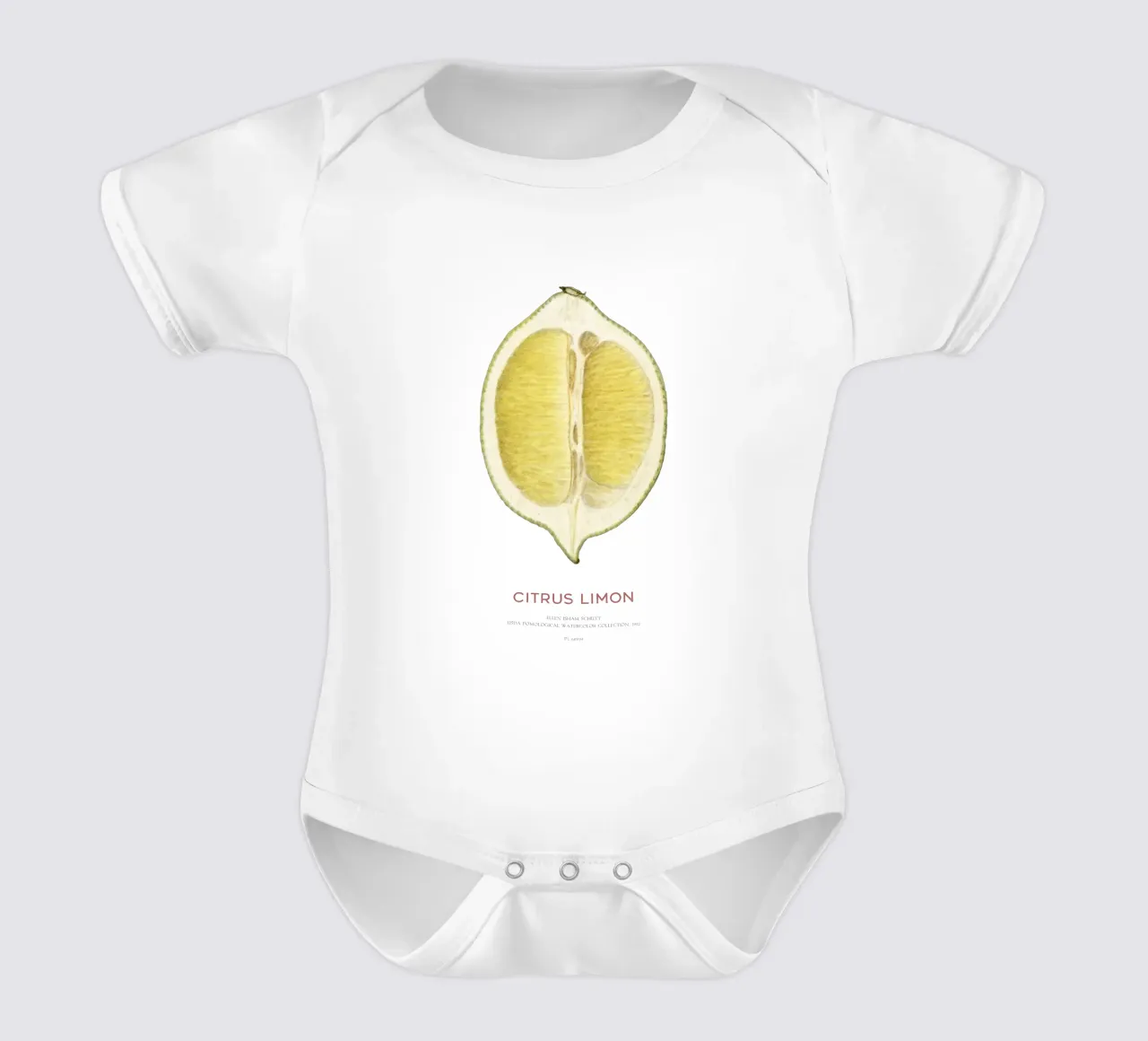 Zitrone oder Citrus limon Kurzarm Babybody von Vintagrafica