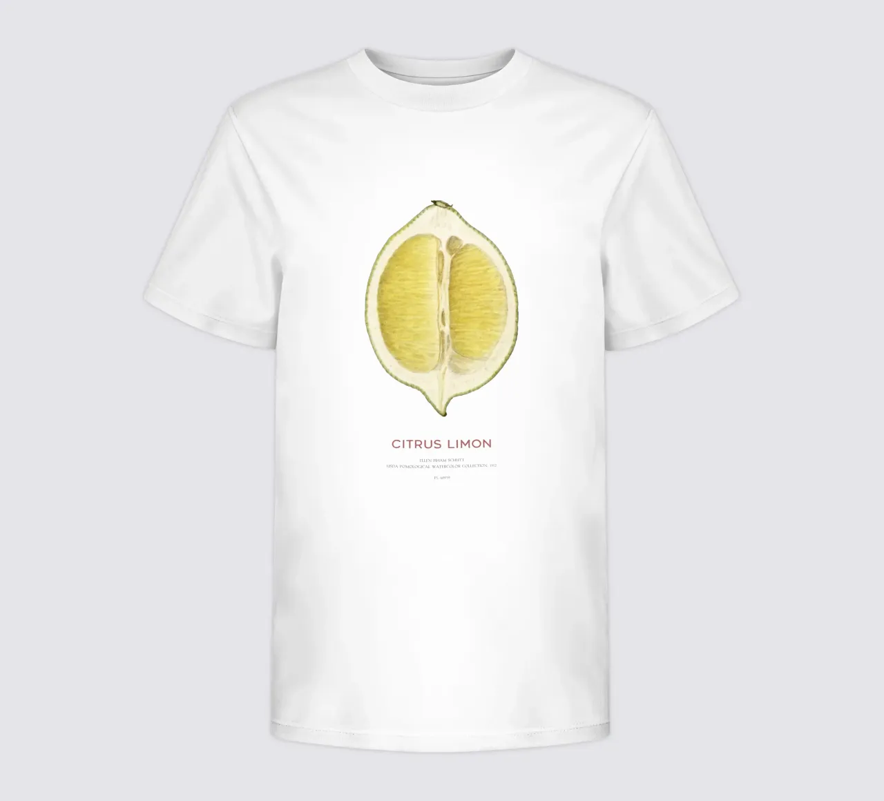 Zitrone oder Citrus limon Kinder T-Shirt von Vintagrafica