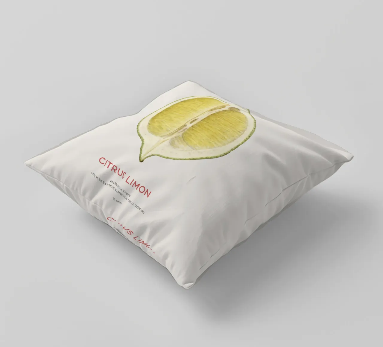 Zitrone oder Citrus limon Kissen von Vintagrafica