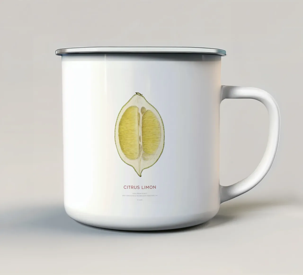 Limone o Citrus limon tazza in smalto da Vintagrafica