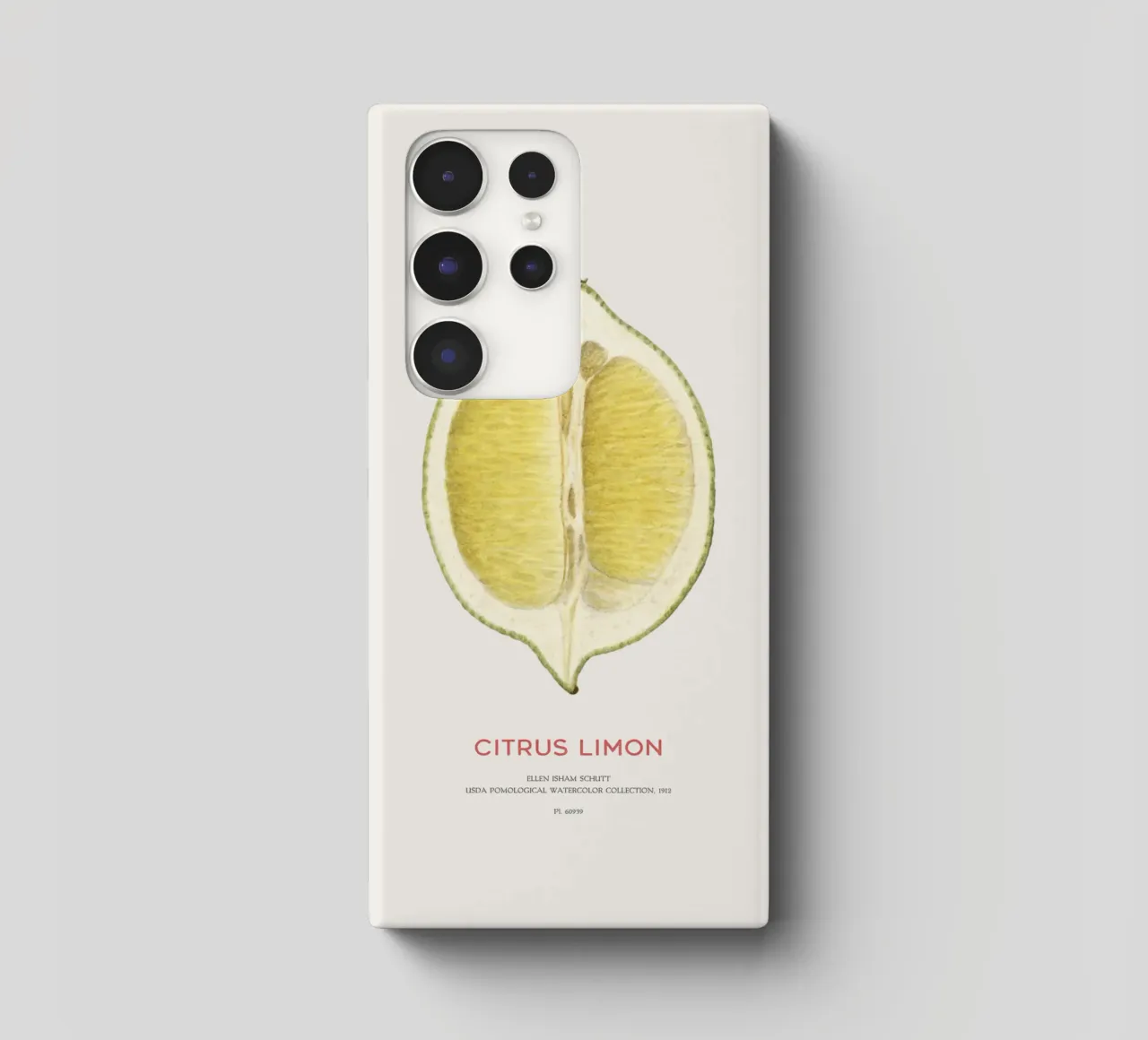 Zitrone oder Citrus limon Samsung Hülle von Vintagrafica