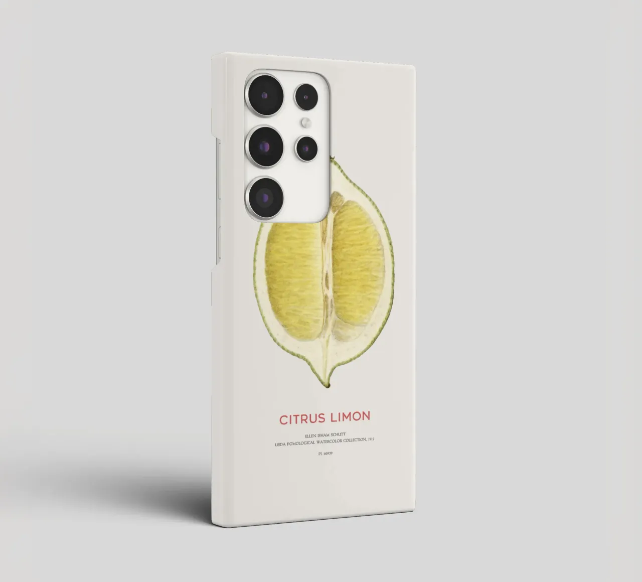 Zitrone oder Citrus limon Samsung Hülle von Vintagrafica