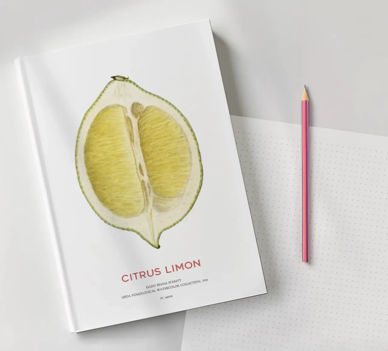 Zitrone oder Citrus limon Notizbuch von Vintagrafica