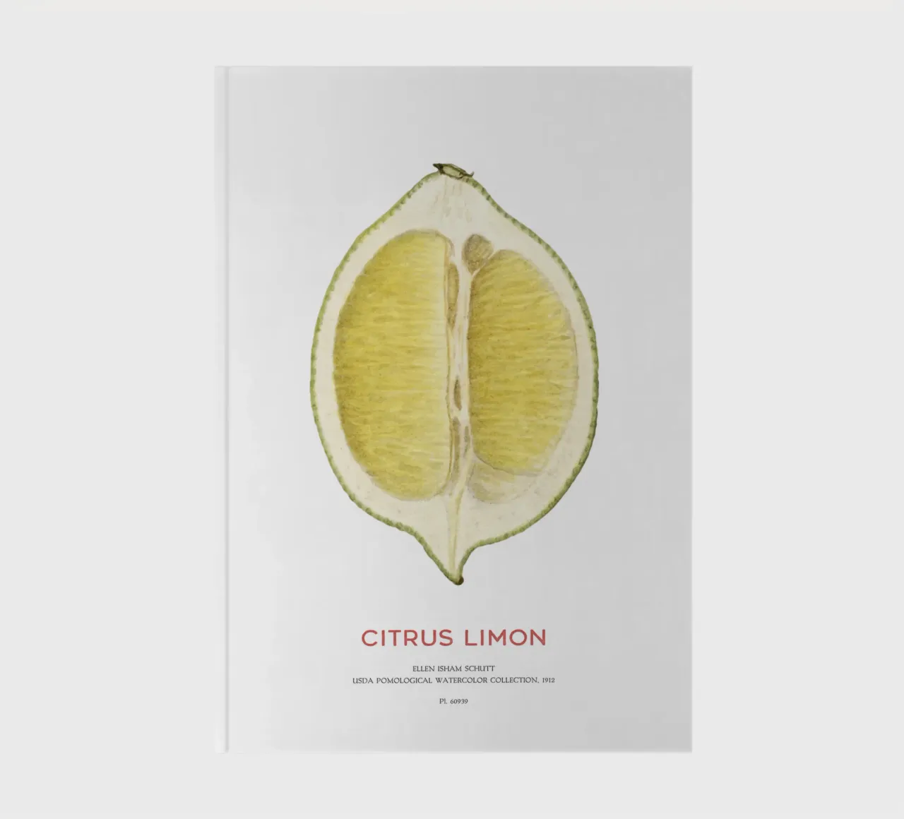 Zitrone oder Citrus limon Notizbuch von Vintagrafica