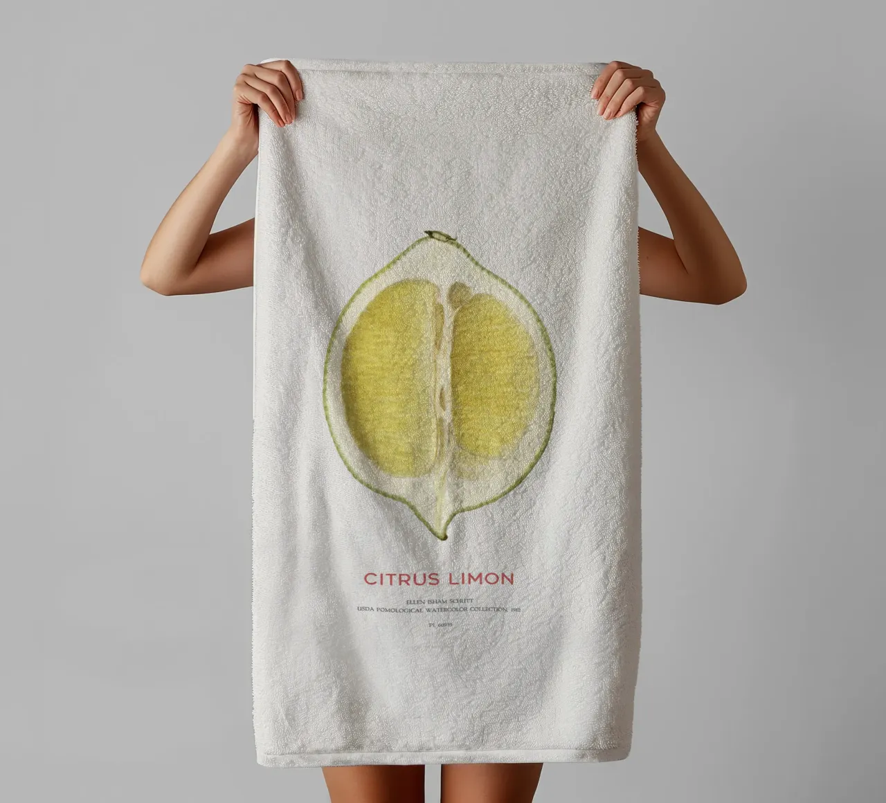 Zitrone oder Citrus limon Handtuch von Vintagrafica