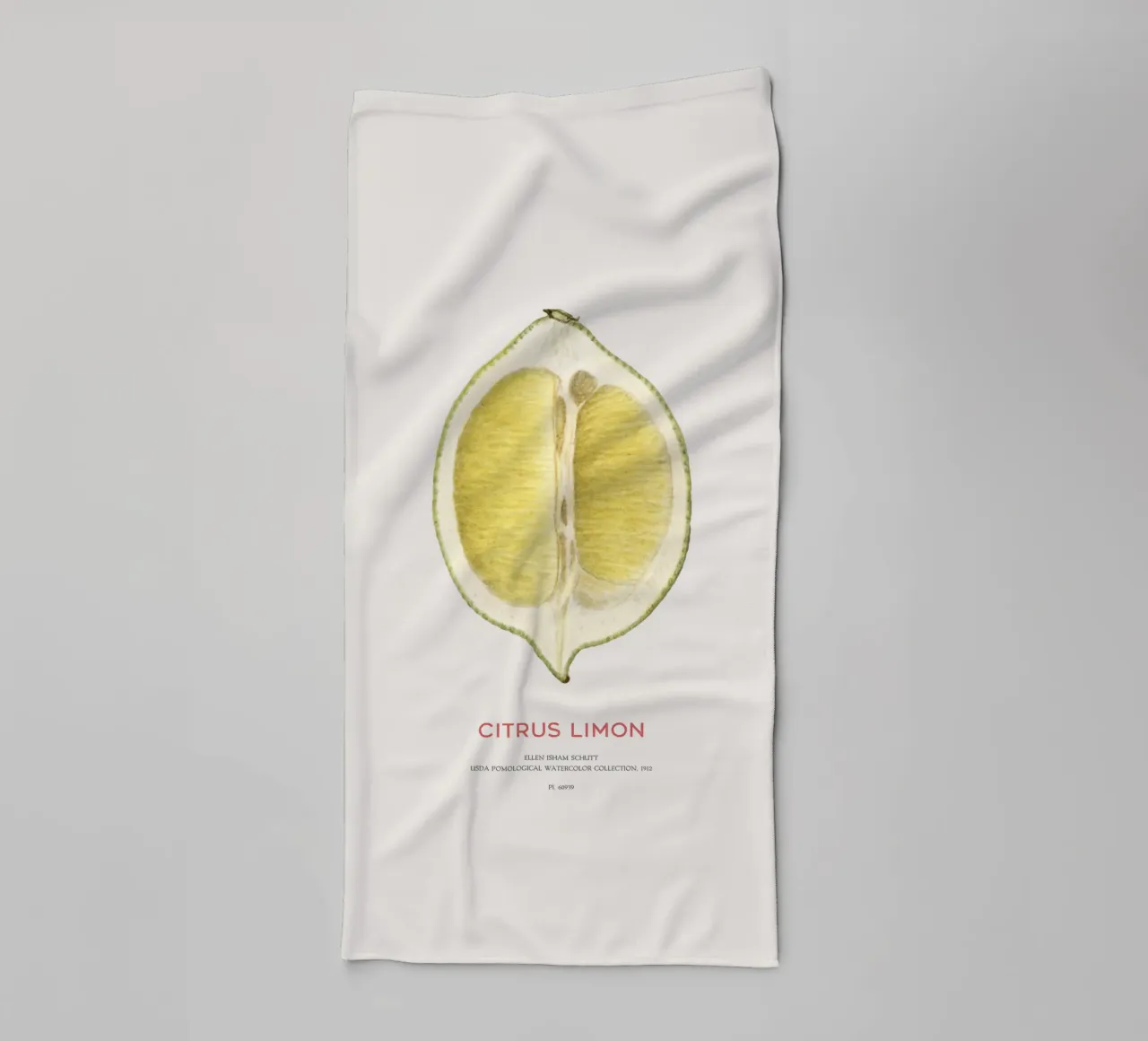 Zitrone oder Citrus limon Handtuch von Vintagrafica