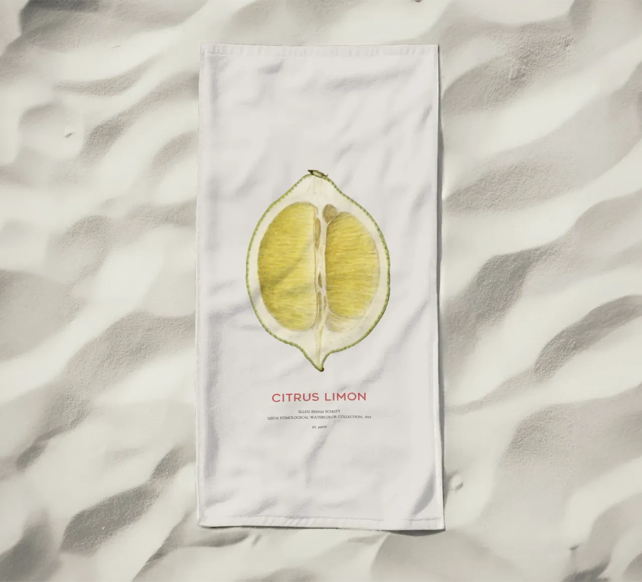 Zitrone oder Citrus limon Strandtuch von Vintagrafica