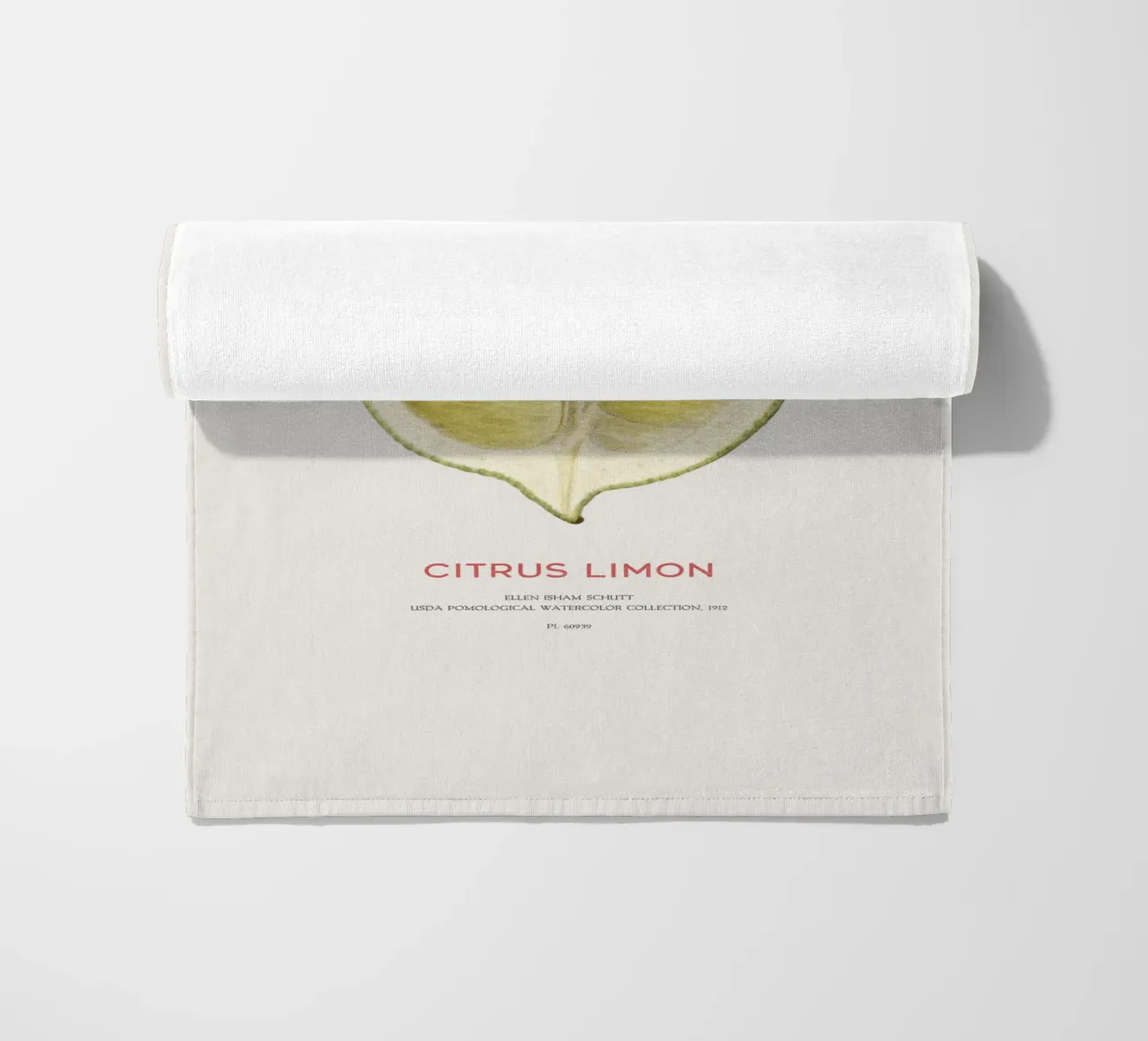 Zitrone oder Citrus limon Strandtuch von Vintagrafica