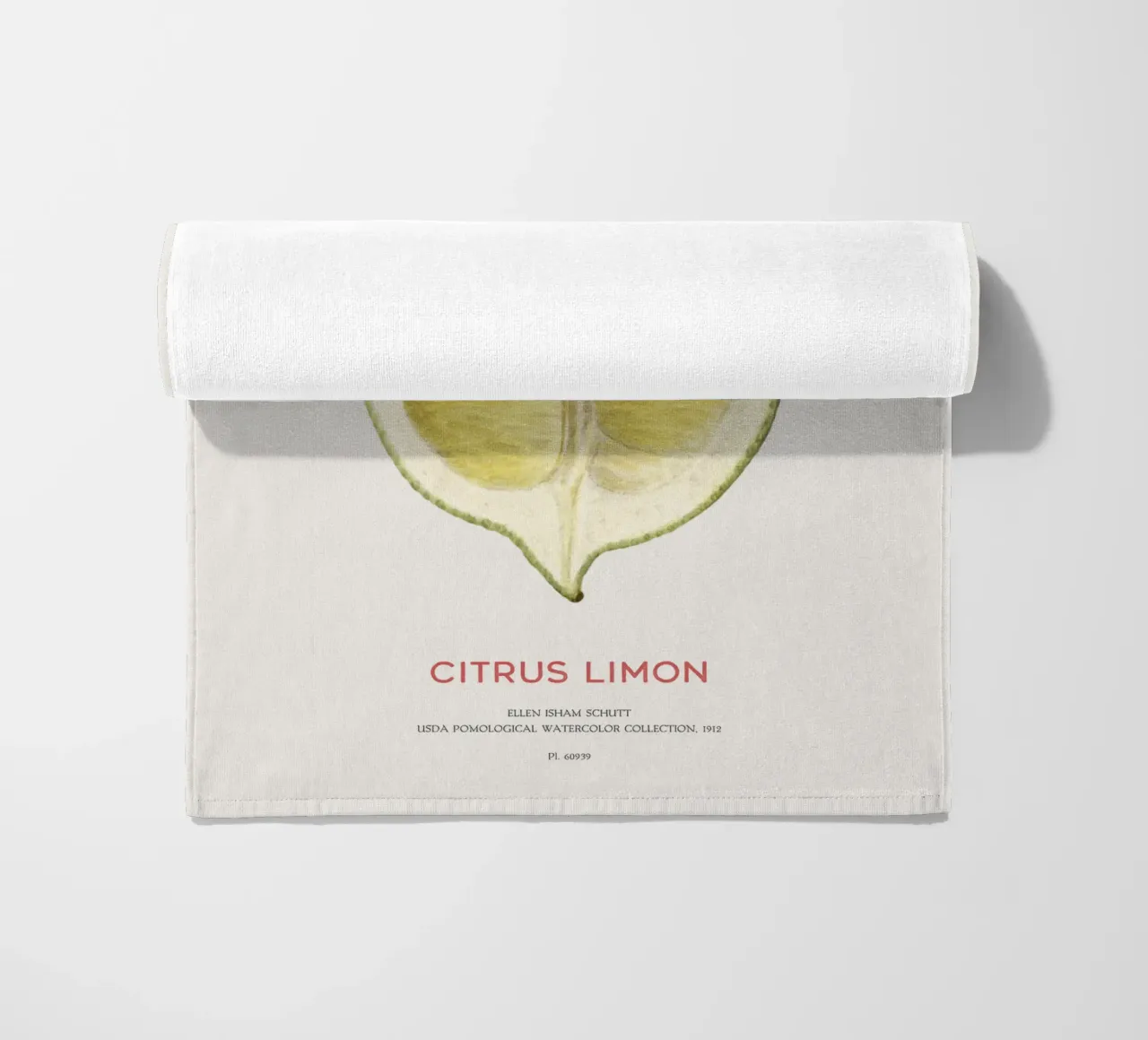 Zitrone oder Citrus limon Strandtuch von Vintagrafica