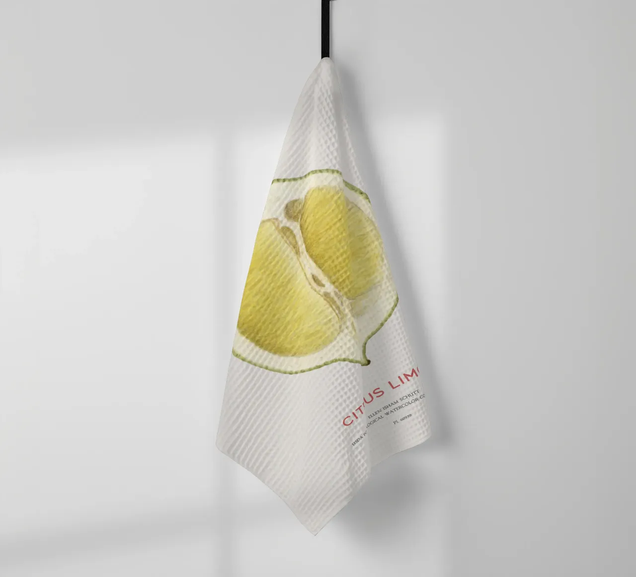 Zitrone oder Citrus limon Geschirrtuch von Vintagrafica
