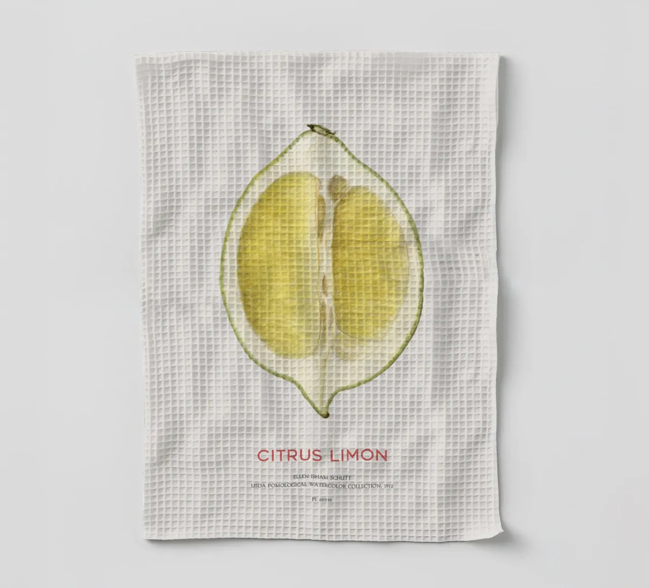 Zitrone oder Citrus limon Geschirrtuch von Vintagrafica
