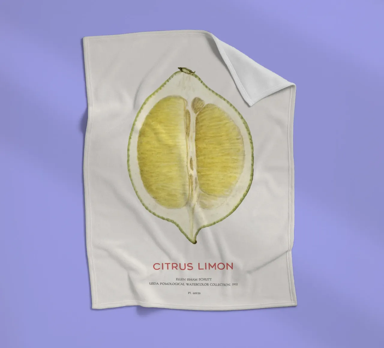 Zitrone oder Citrus limon Fleecedecke von Vintagrafica