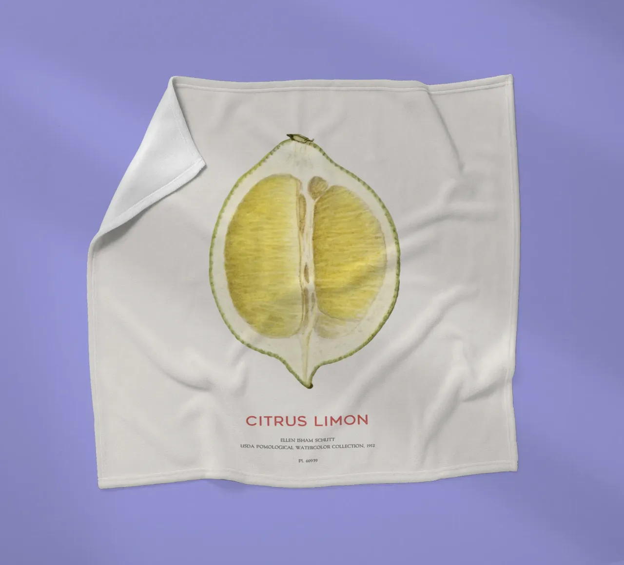 Zitrone oder Citrus limon Fleecedecke von Vintagrafica