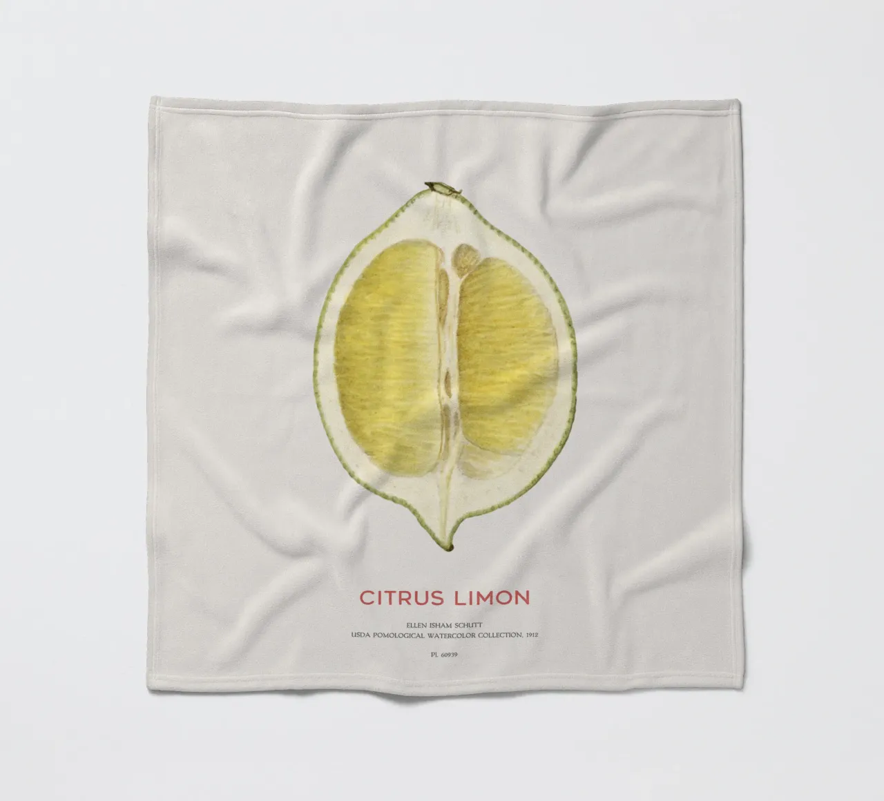 Zitrone oder Citrus limon Fleecedecke von Vintagrafica