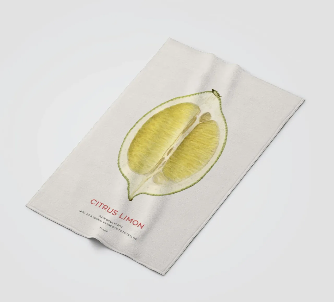 Zitrone oder Citrus limon Fleecedecke von Vintagrafica