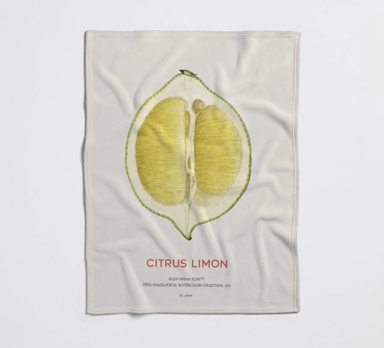 Zitrone oder Citrus limon Fleecedecke von Vintagrafica