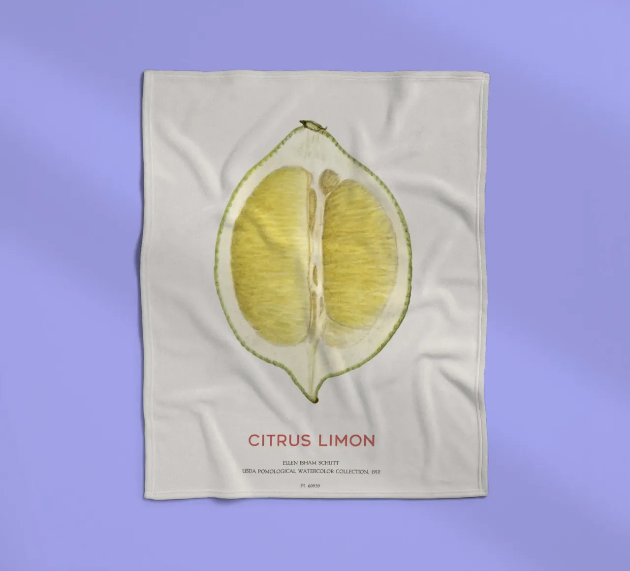 Zitrone oder Citrus limon Fleecedecke von Vintagrafica