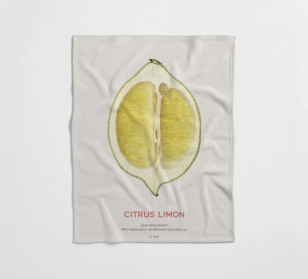 Zitrone oder Citrus limon Fleecedecke von Vintagrafica