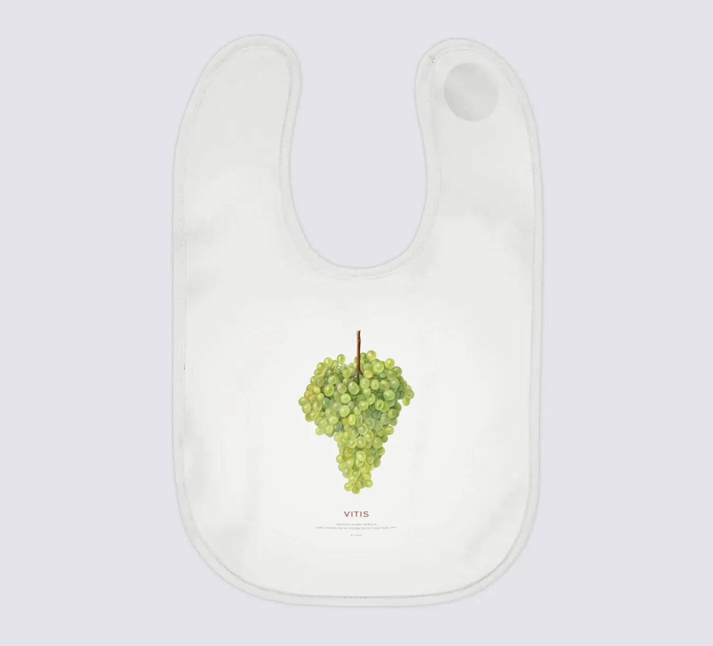 Grape or Vitis Babylätzchen von Vintagrafica