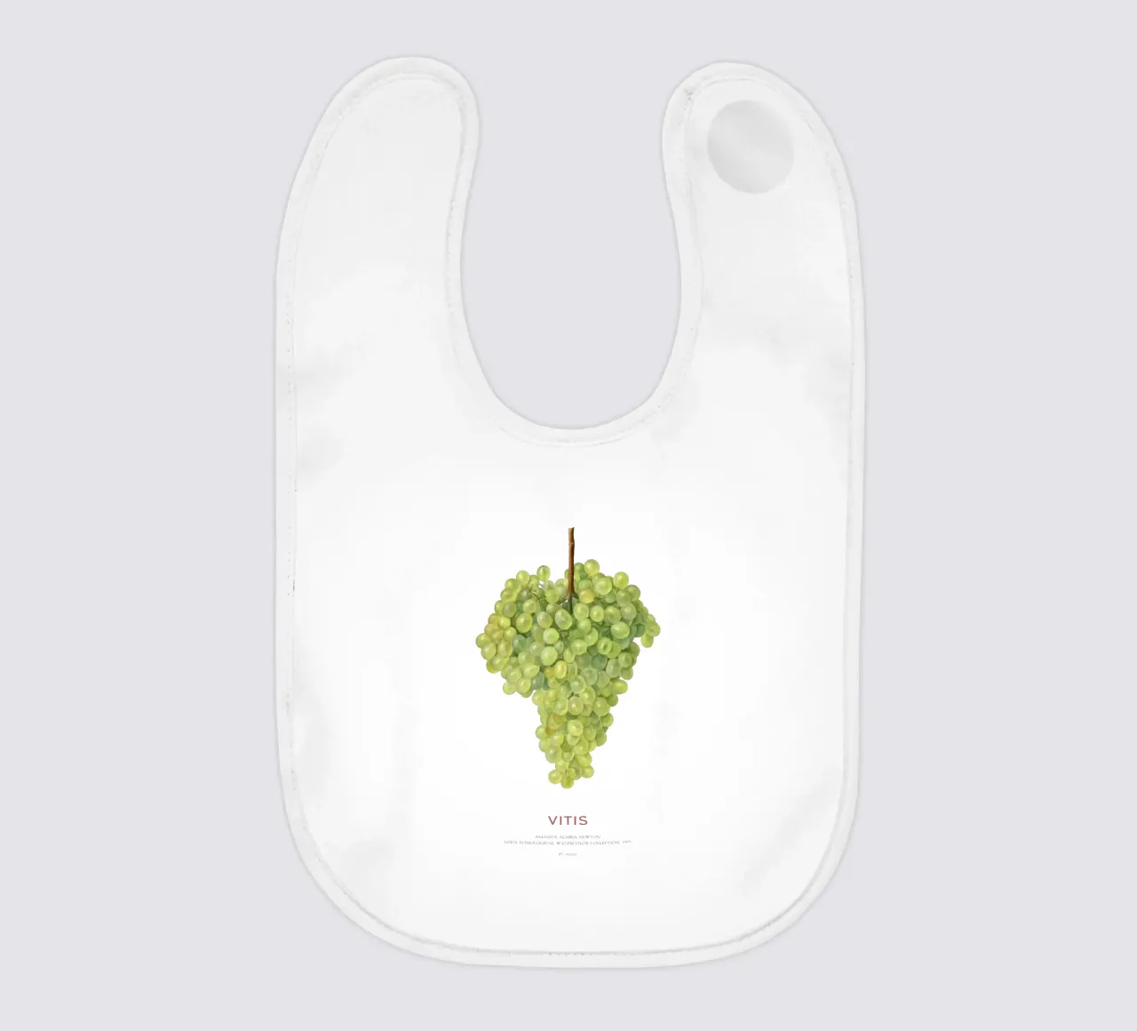 Raisin ou Vitis bavoir de Vintagrafica