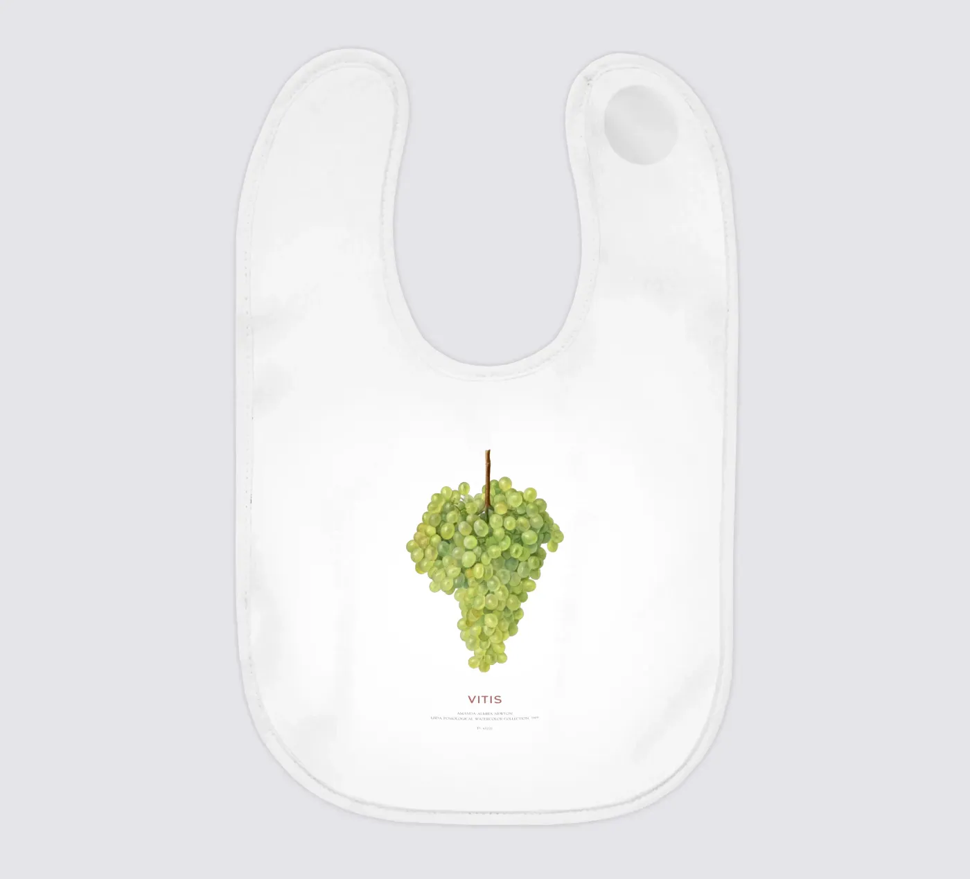 Grape or Vitis Babylätzchen von Vintagrafica