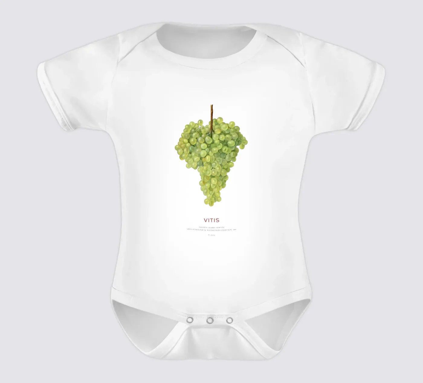 Grape or Vitis body bébé de Vintagrafica