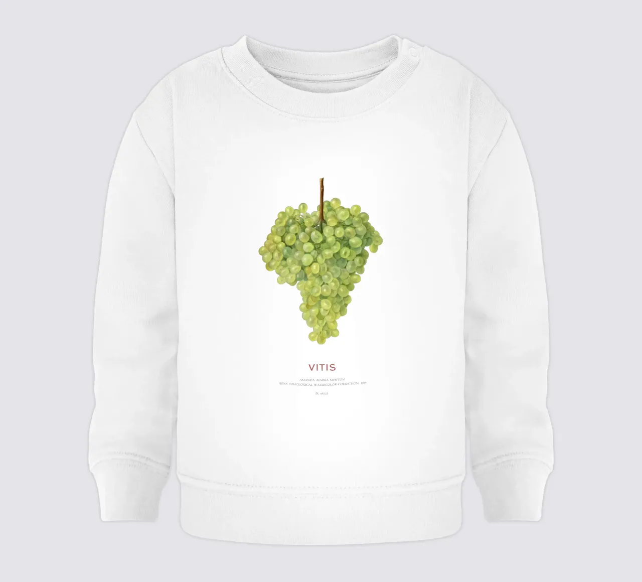 Uva o Vitis sudadera de bebé de Vintagrafica