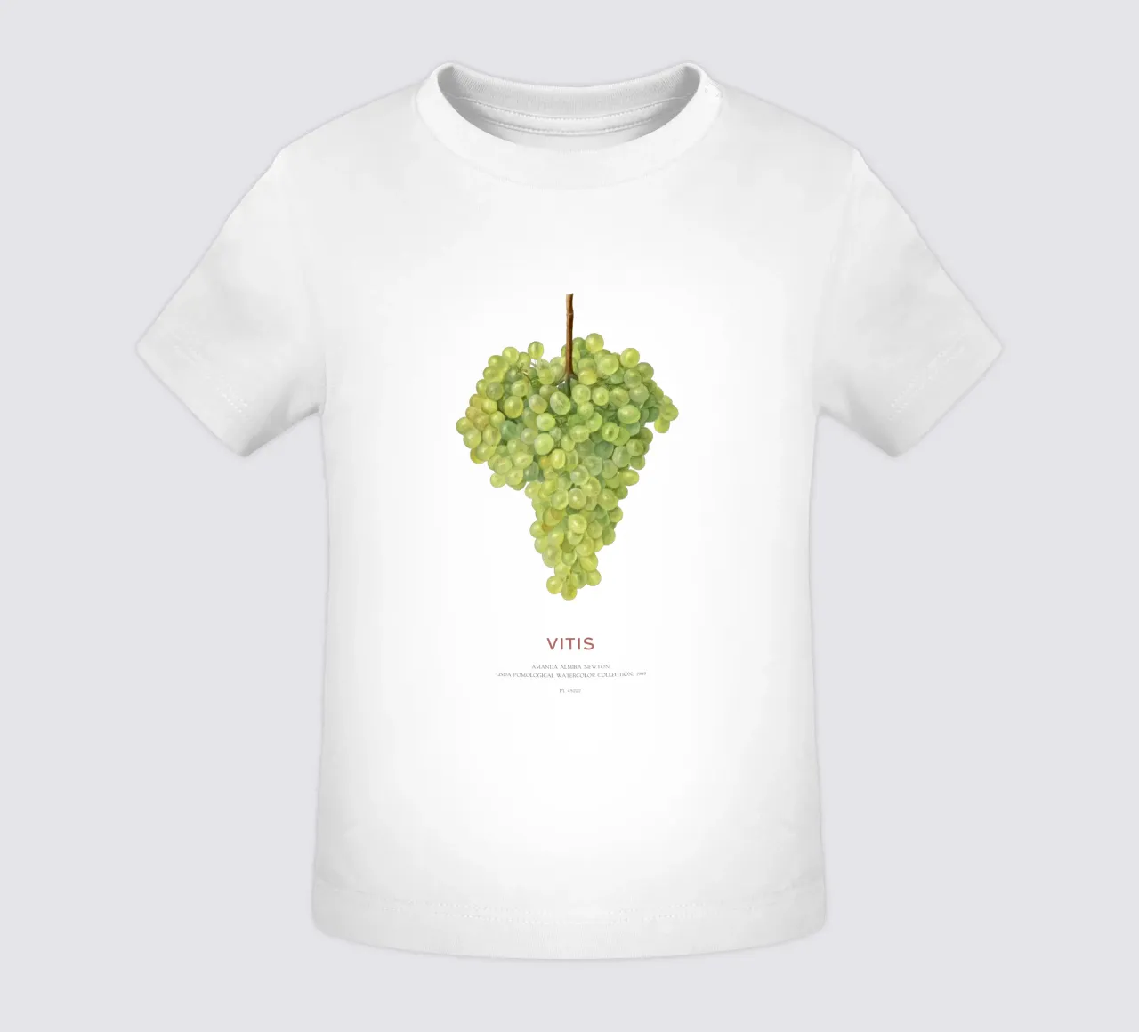 Druif of Vitis baby t-shirt van Vintagrafica