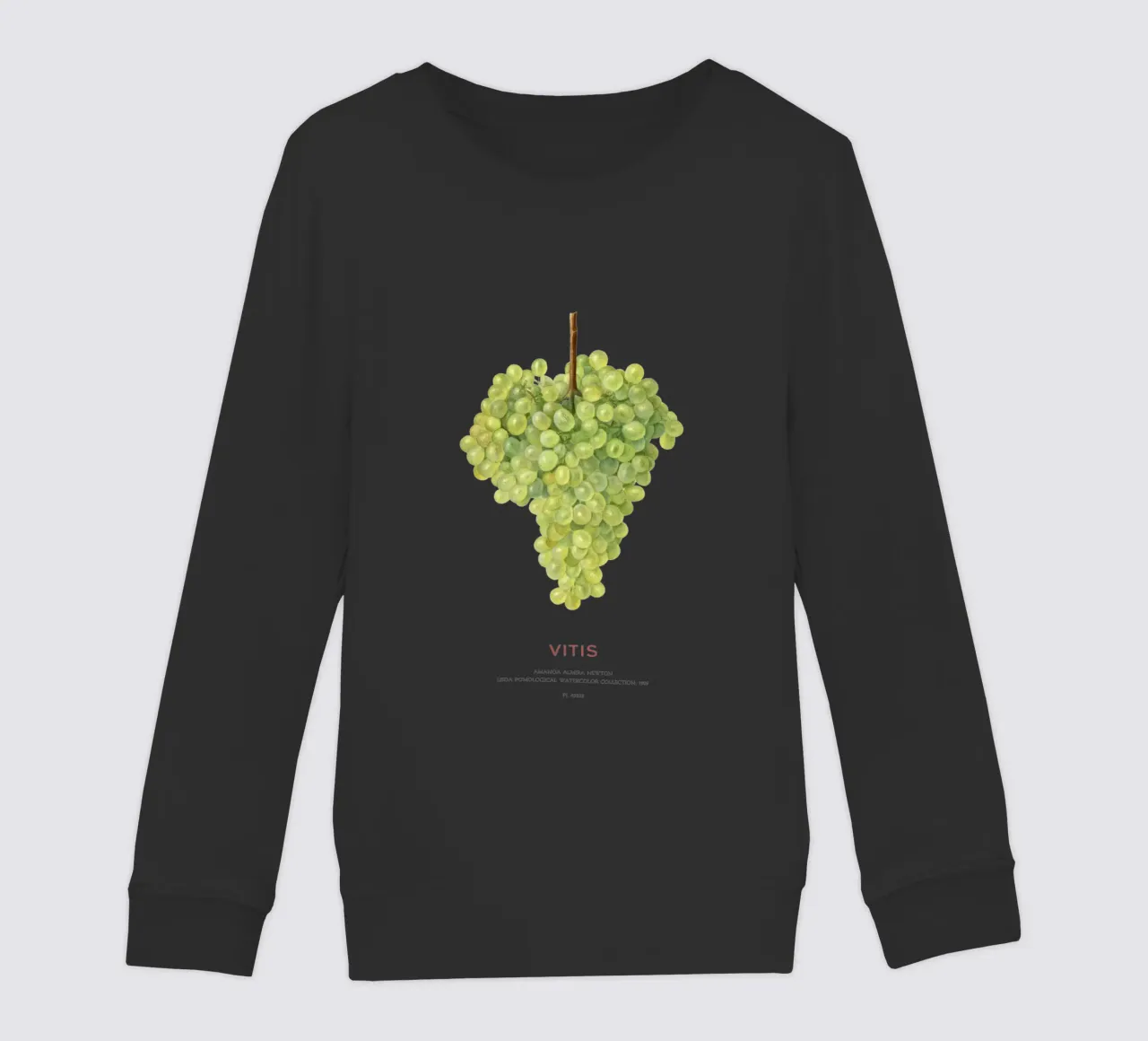 Uva o Vitis felpa bambino da Vintagrafica