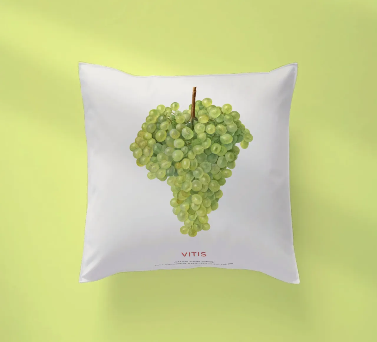 Weintraube oder Vitis Kissen von Vintagrafica