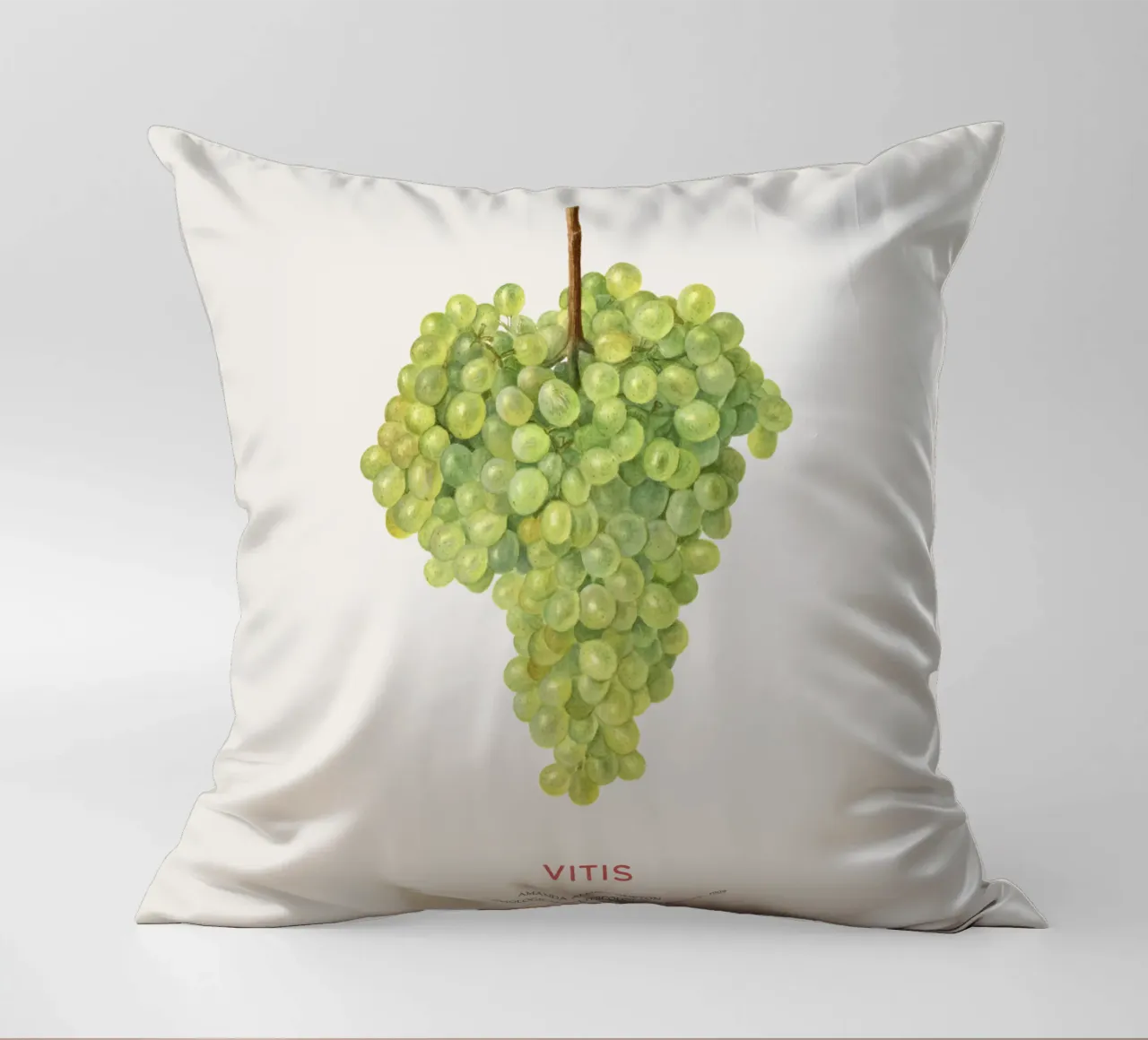 Weintraube oder Vitis Kissen von Vintagrafica