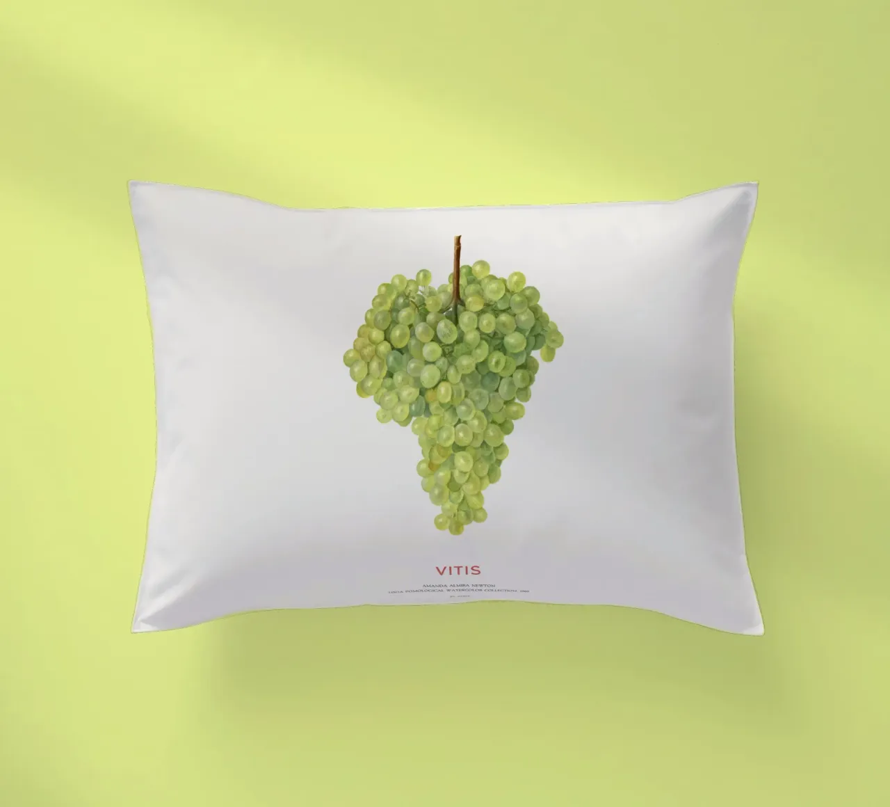 Uva o Vitis cuscino da Vintagrafica