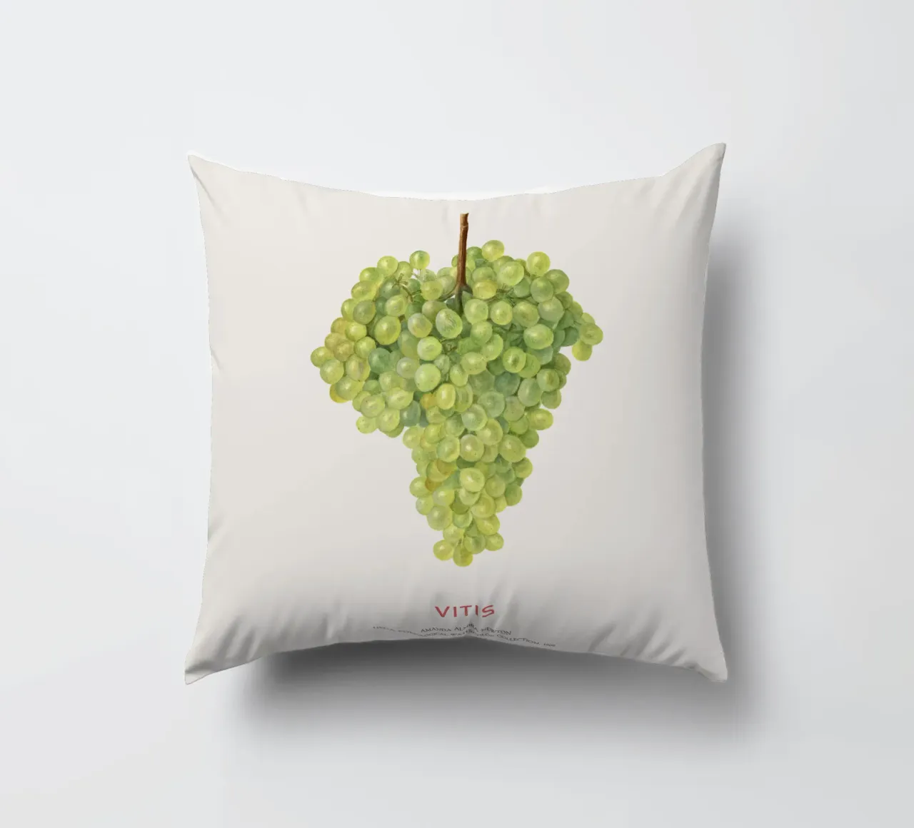 Weintraube oder Vitis Kissen von Vintagrafica