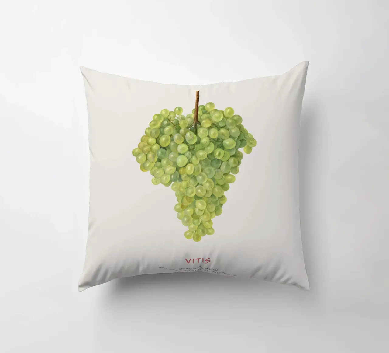 Weintraube oder Vitis Kissen von Vintagrafica