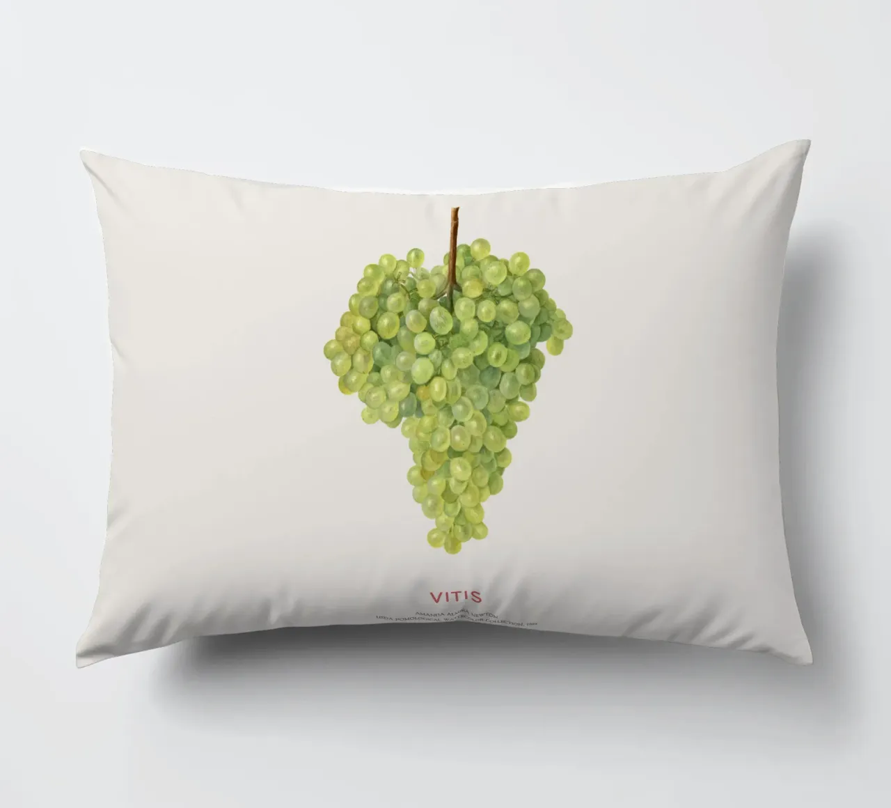 Uva o Vitis cuscino da Vintagrafica