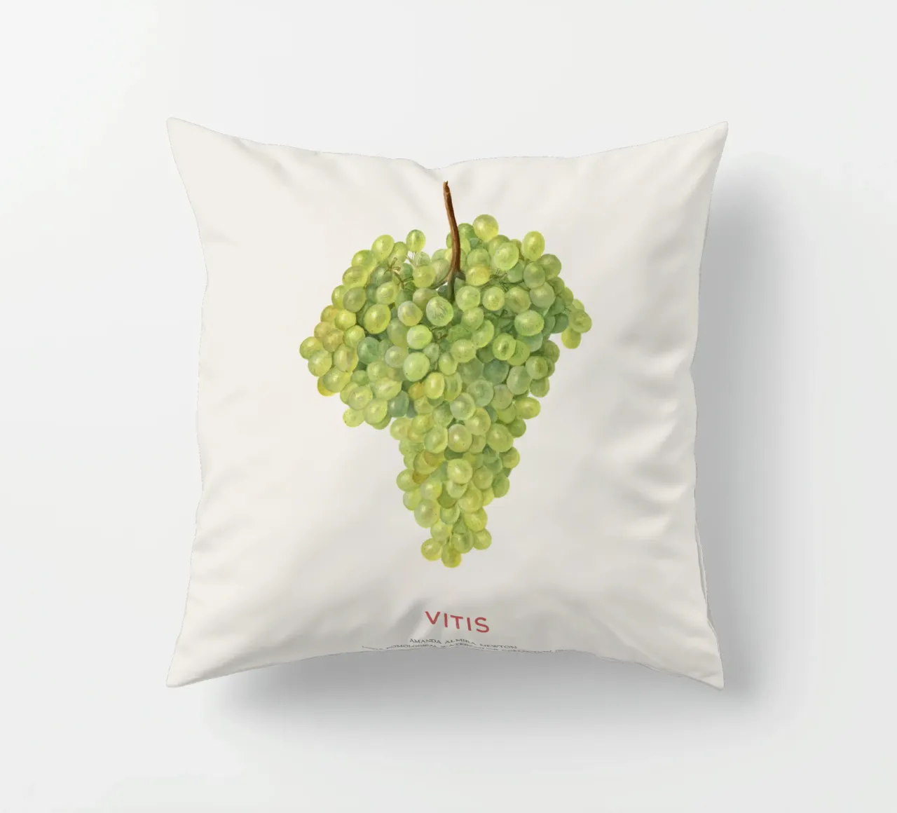 Uva o Vitis cuscino da Vintagrafica