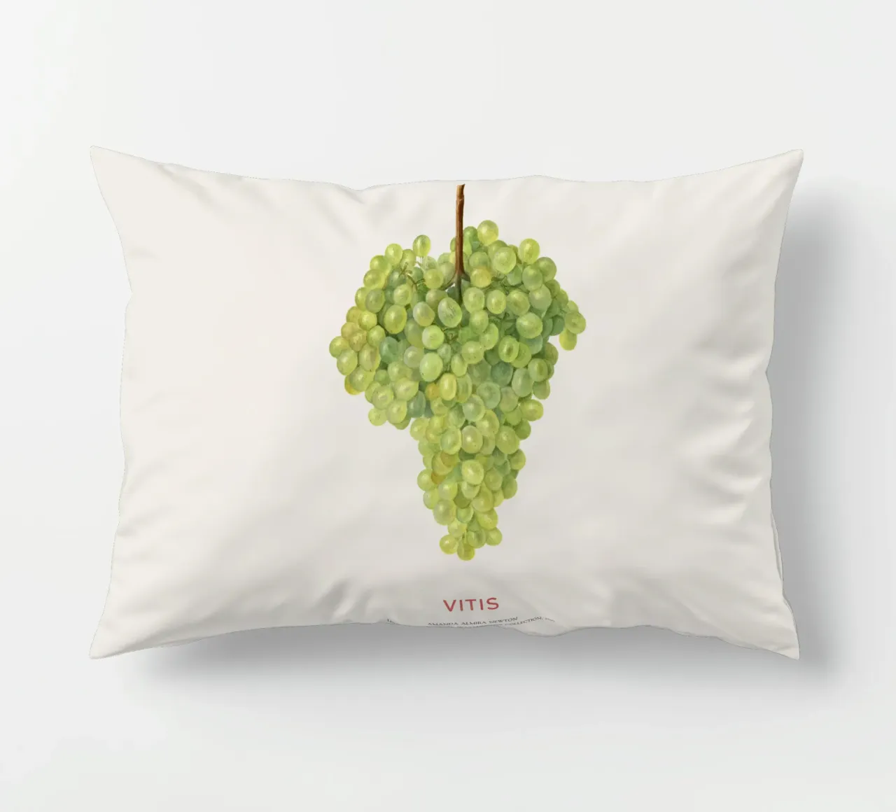 Uva o Vitis cuscino da Vintagrafica