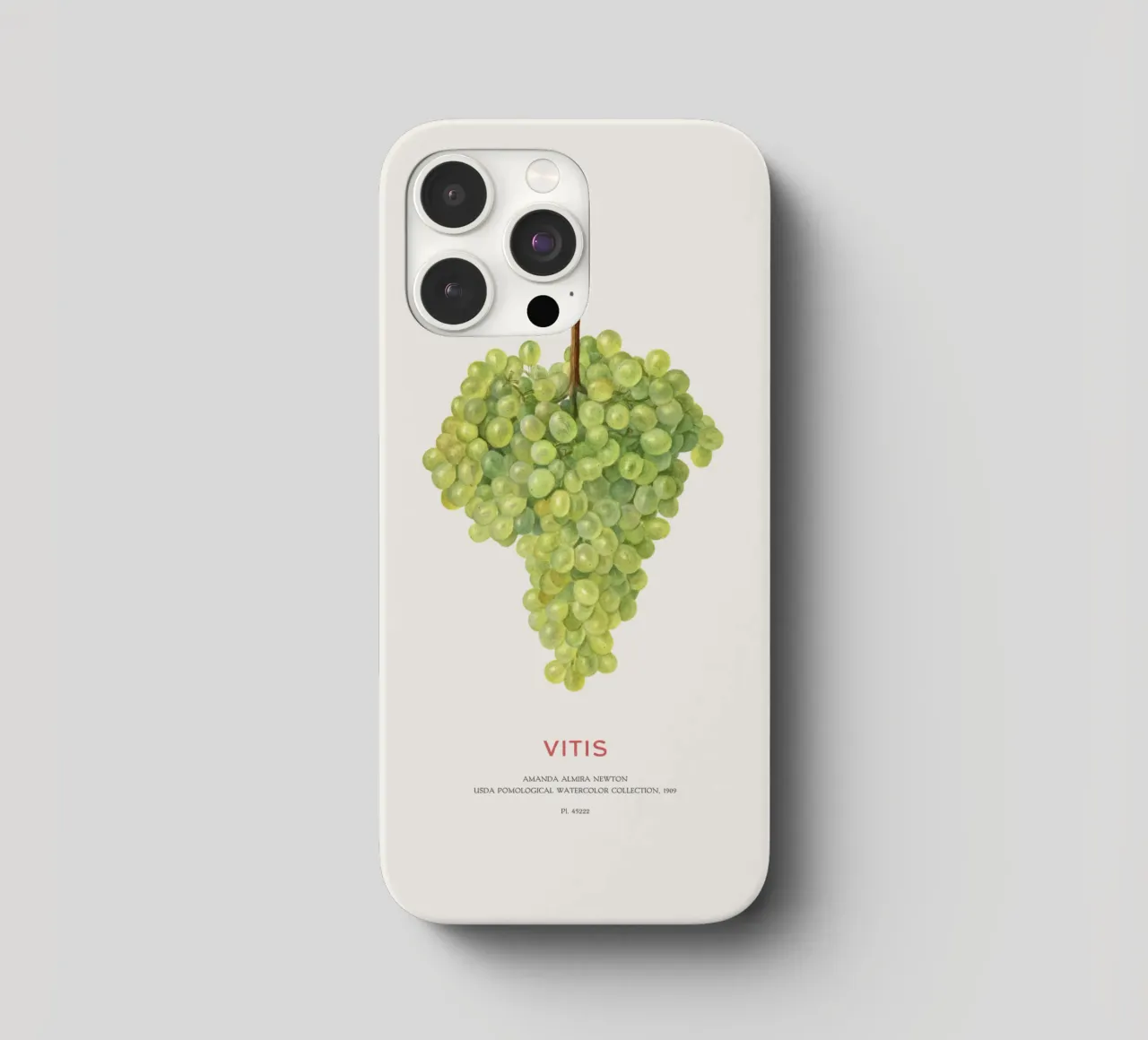 Uva o Vitis cover iphone da Vintagrafica