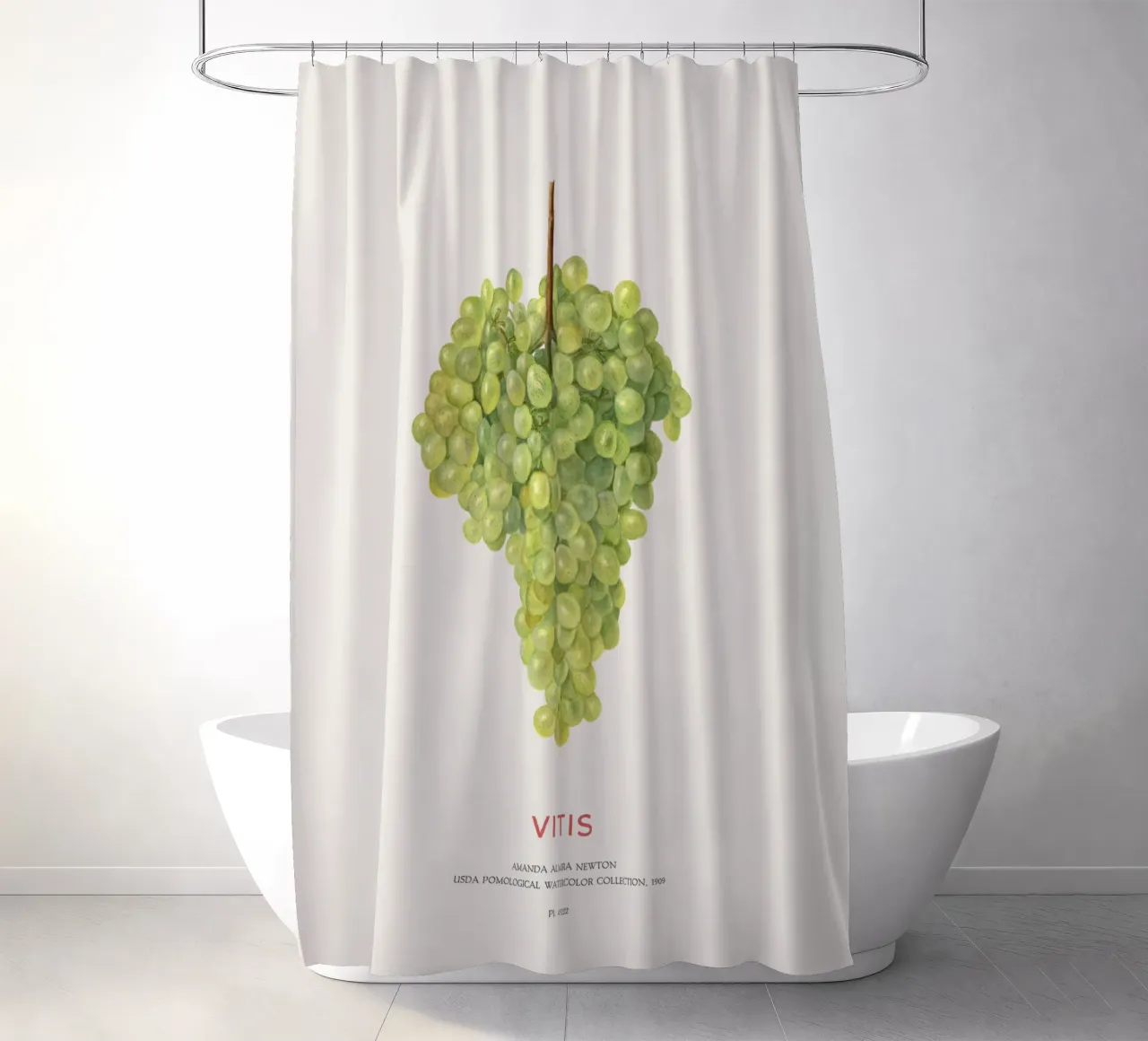 Uva o Vitis tenda da doccia da Vintagrafica